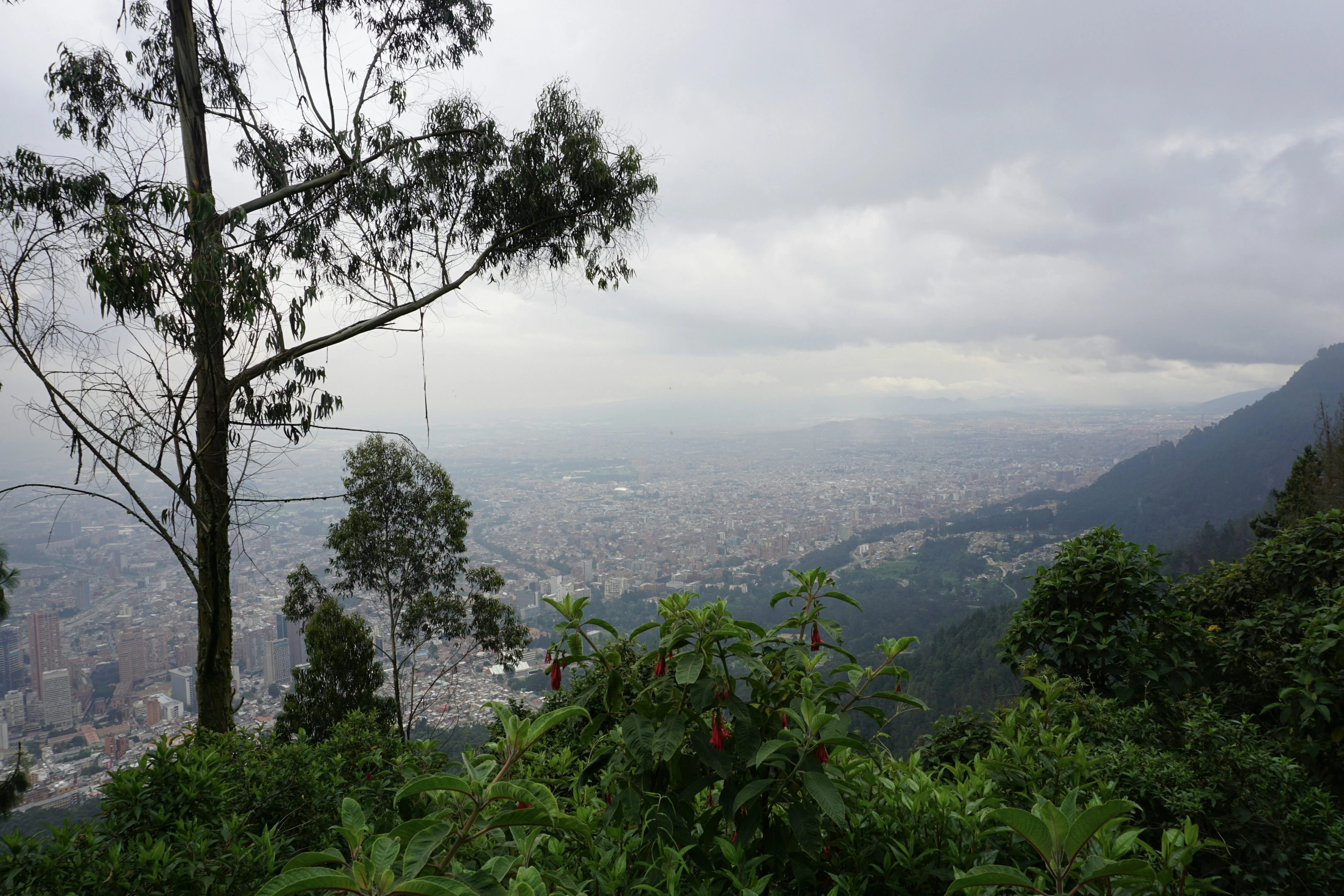 Colombie