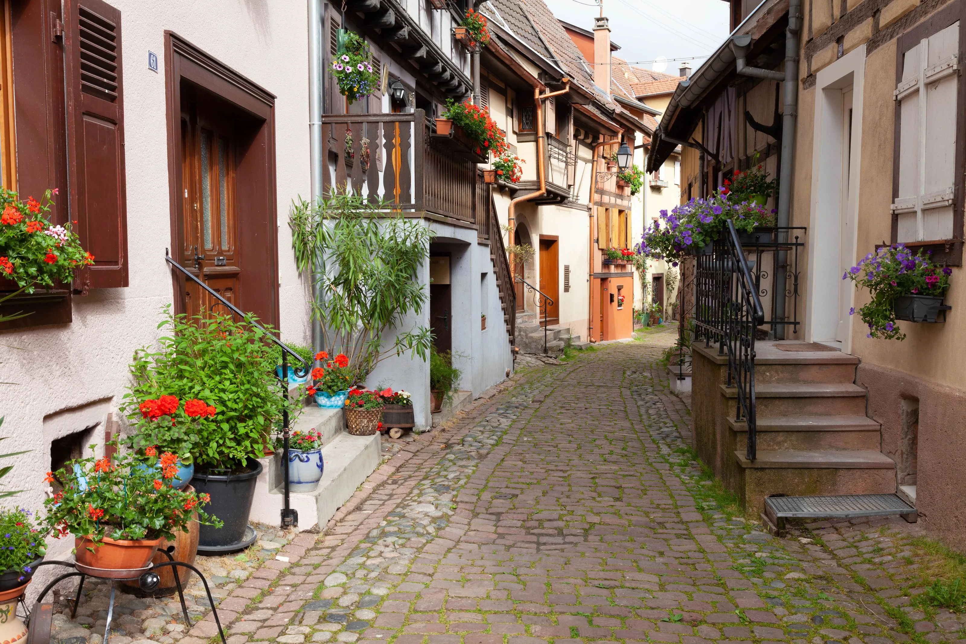 Ruelle pavée et fleurie du village viticole d'Eguisheim, en Alsace