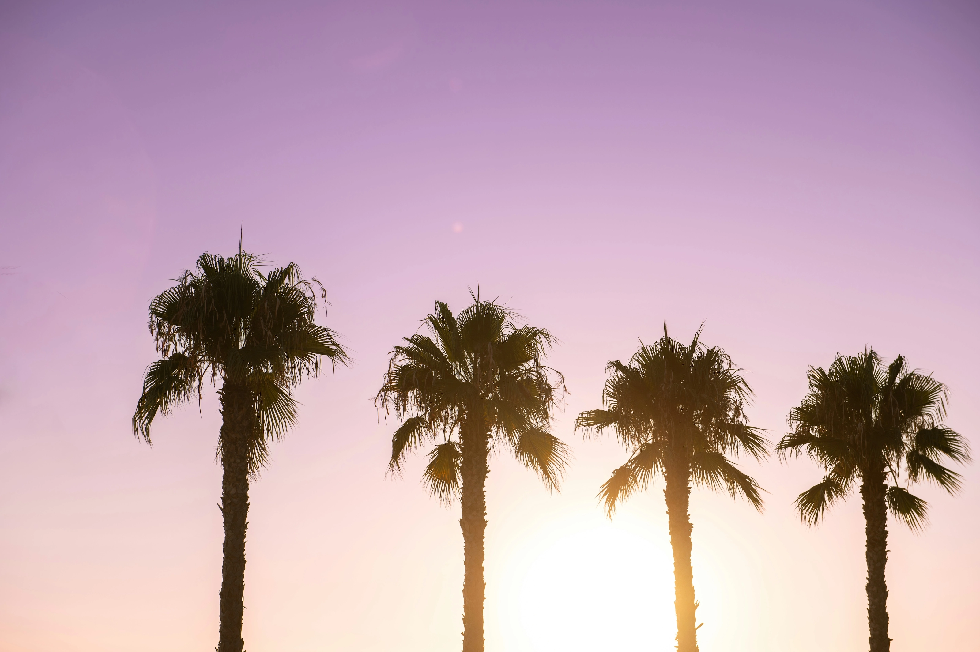 Ibiza
