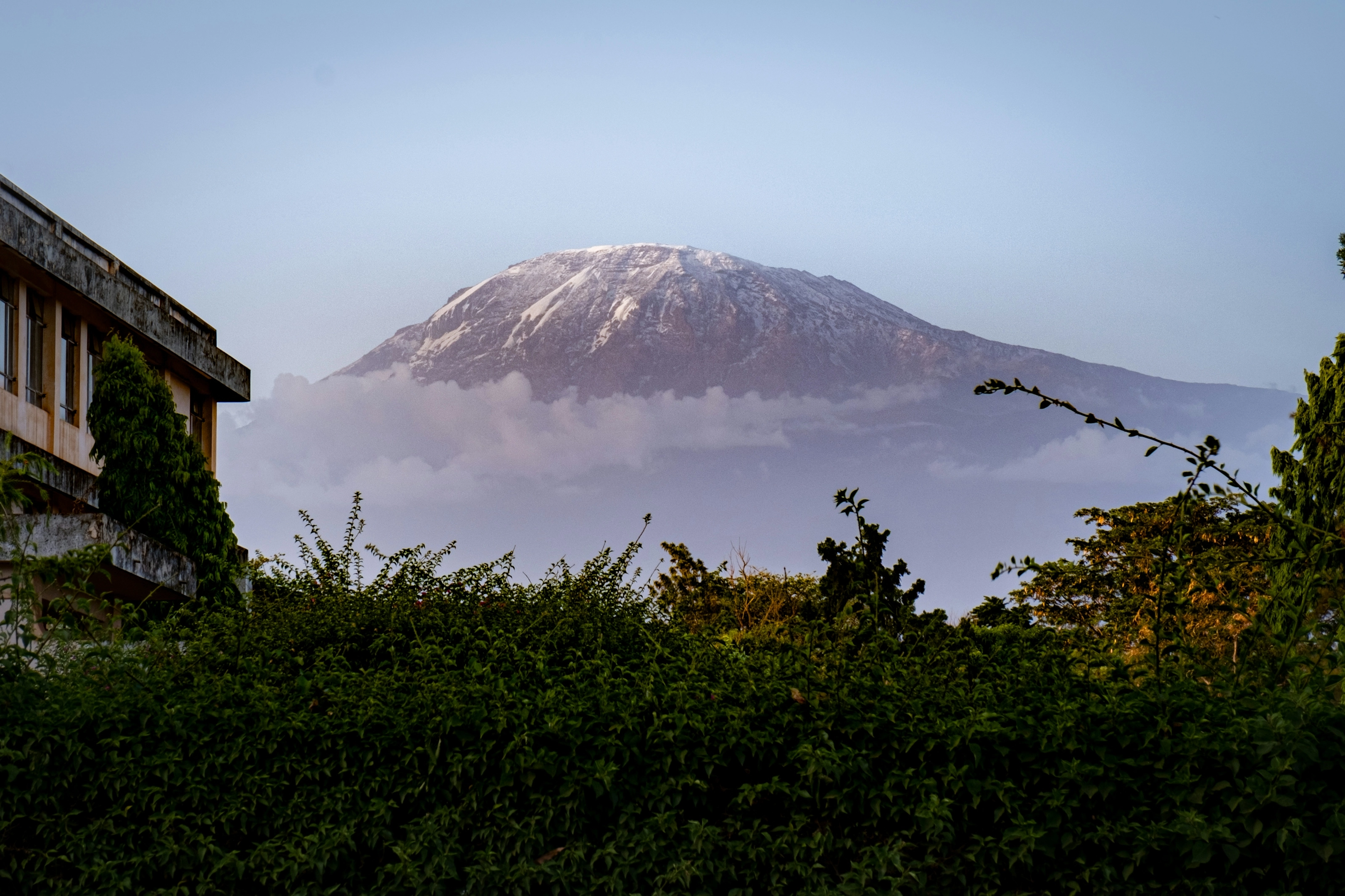 Le Kilimandjaro enneigé vu depuis les hauteurs d'Arusha, Tanzanie