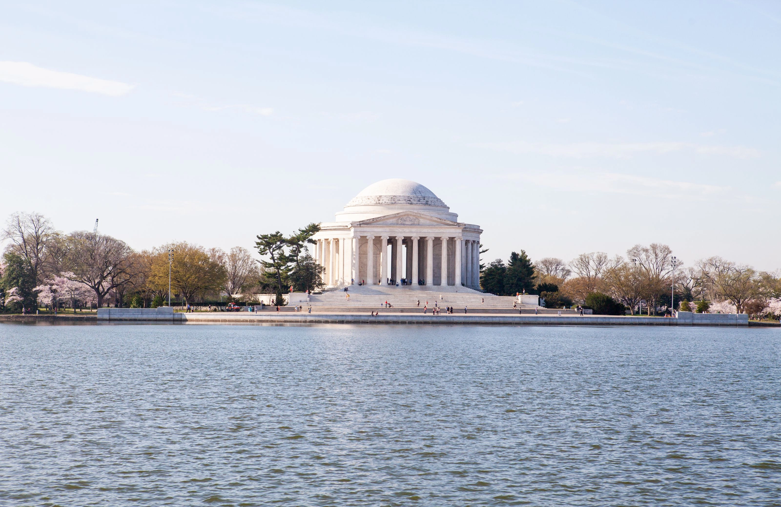 Jefferson Memorial entouré de cerisiers en fleurs